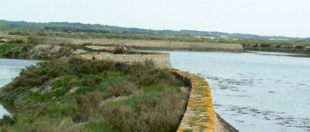 Cap-Atlantique Les digues dans les marais salants oubliées