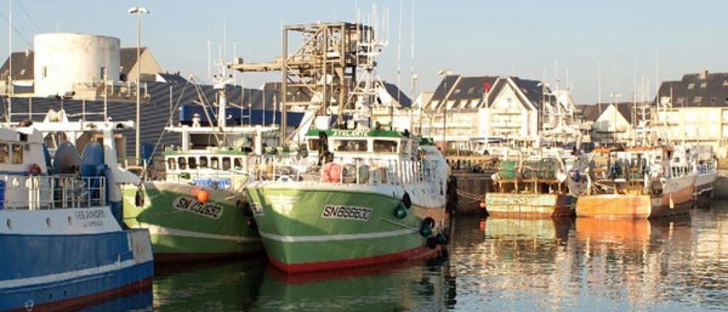 La Turballe : le maire, Didier Cadro, s’inquiète pour la filière de la pêche