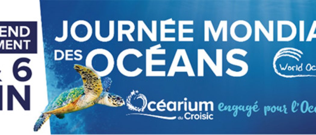 Le Croisic : L’Océarium marque son engagement pour la protection du monde marin