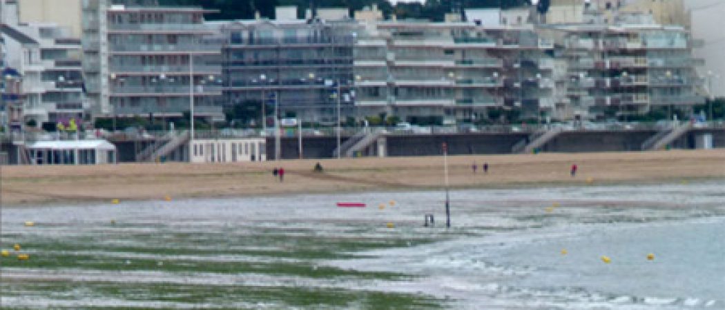 Les algues vertes un fléau pour les communes et un coût